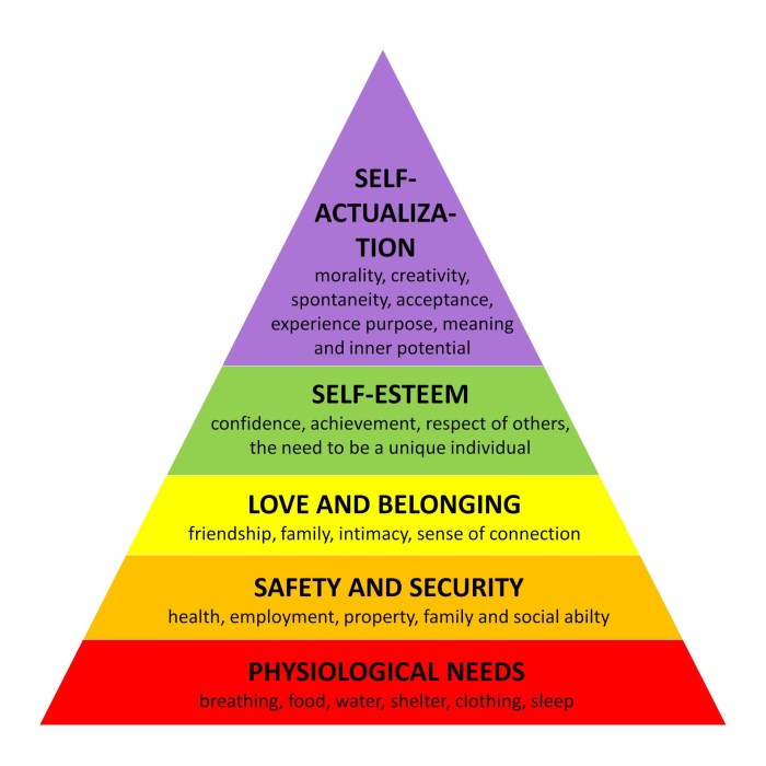 Maslow's hierarchy of needs quiz