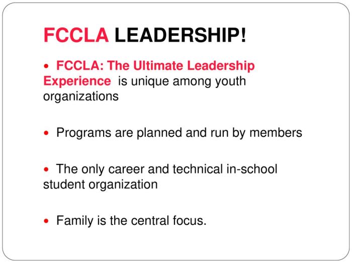 What is fccla central focus