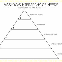 Hierarchy maslow maslows bms simplest management