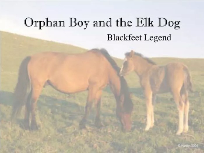 The orphan boy and the elk dog summary