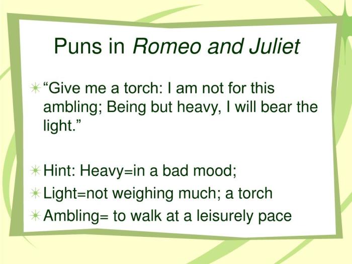 Puns in romeo and juliet act 2