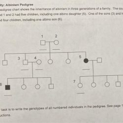 Karyotype chromosome solved