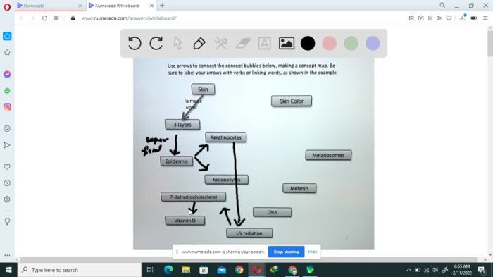 Use arrows to connect the concept bubbles below