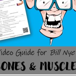 Bill nye bones and muscles video worksheet pdf answer key