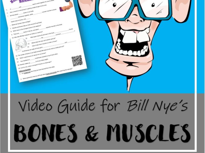 Bill nye bones and muscles video worksheet pdf answer key