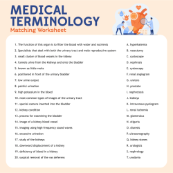 Medical terminology for health professions 9th edition answer key