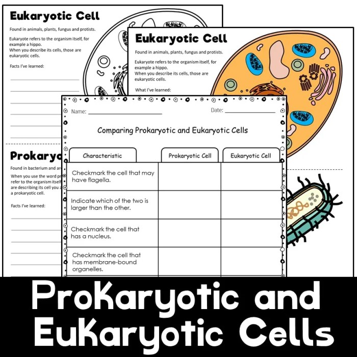 Prokaryotic and eukaryotic cells worksheet pdf